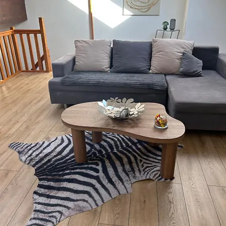 Spacieux Duplex A Apartment *