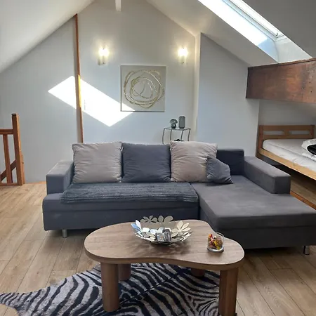 Spacieux Duplex A Apartman Folschviller