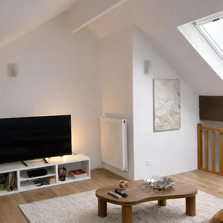 Spacieux Duplex A Apartment Folschviller