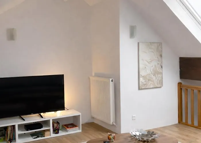 Spacieux Duplex A Apartman Folschviller